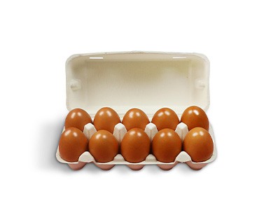 product-377-307 product-377-307