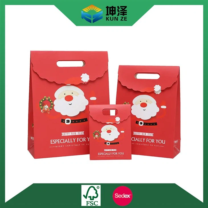 Christmas Gift Paper Bag