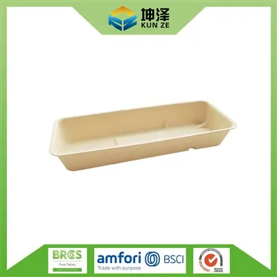 سینی باگاس برای میوه