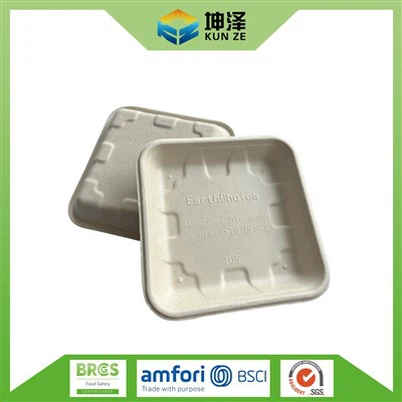 سینی میوه خیابان بازار