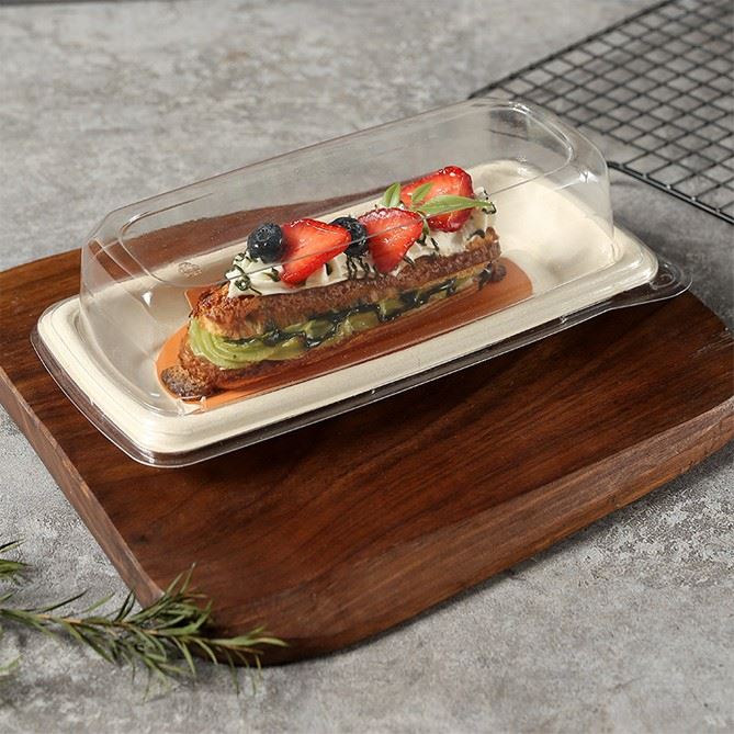 Disposable Cake Containers suppliers