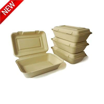 جعبه ناهار بامبو اکو